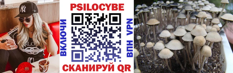 Галлюциногенные грибы Magic Shrooms  MEGA рабочий сайт  Среднеуральск 